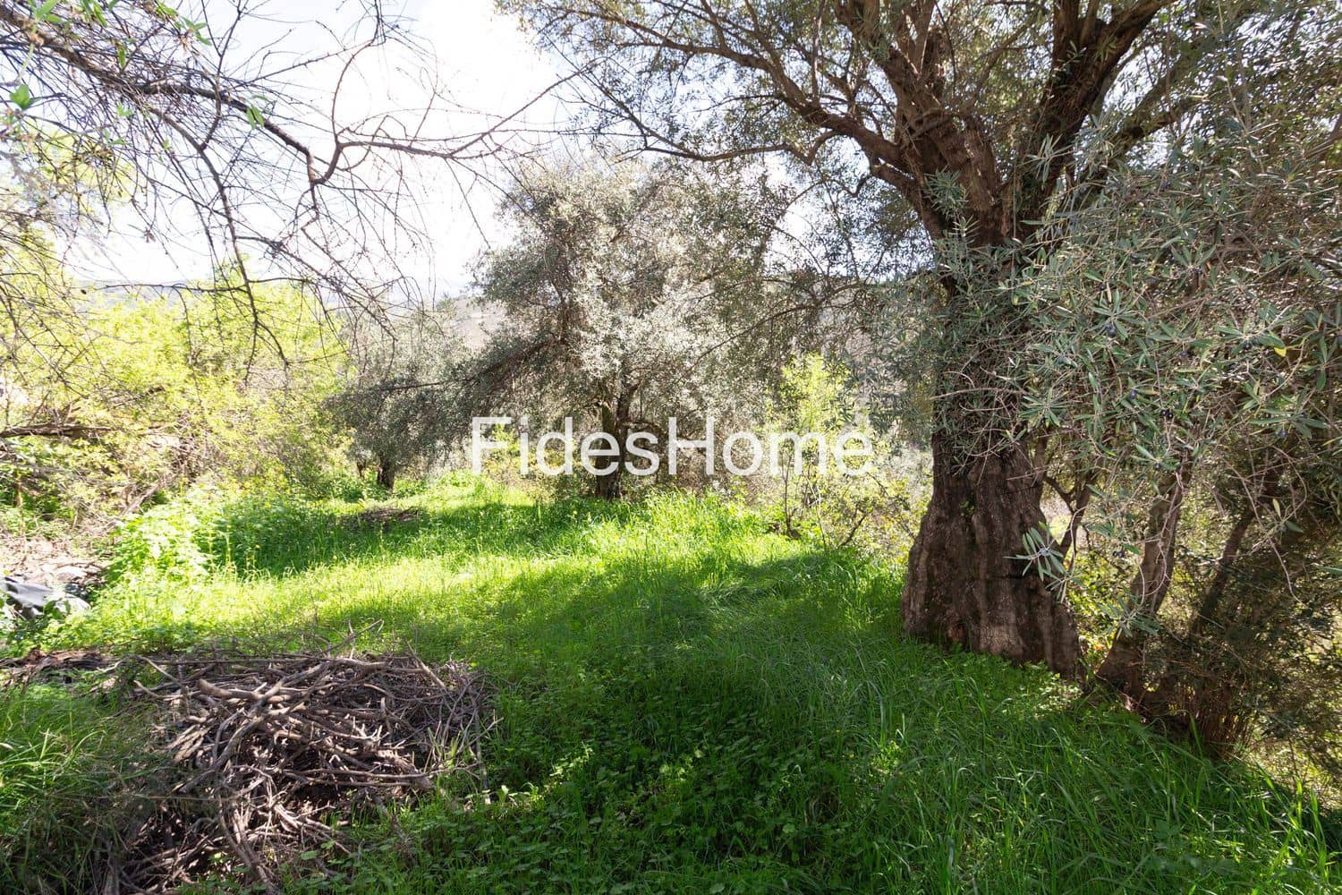 Ubebygd land til salgs i Mondujar - € 18 000 (Ref: 9690026)