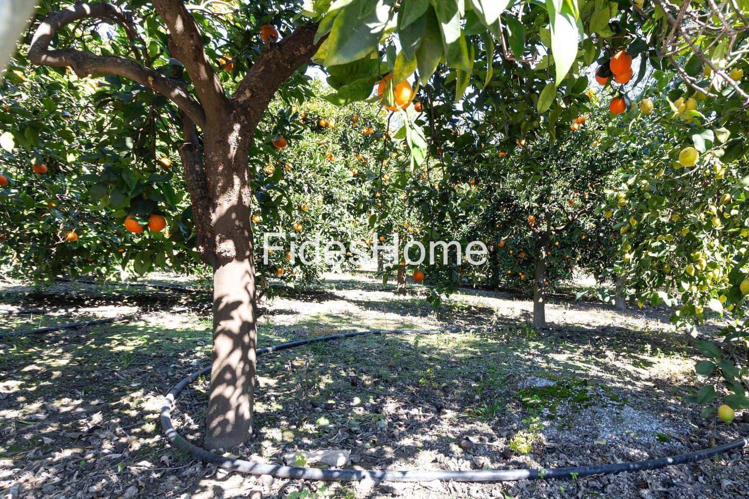 Grond te koop in Lecrin - € 18.000 (Ref: 9690026)