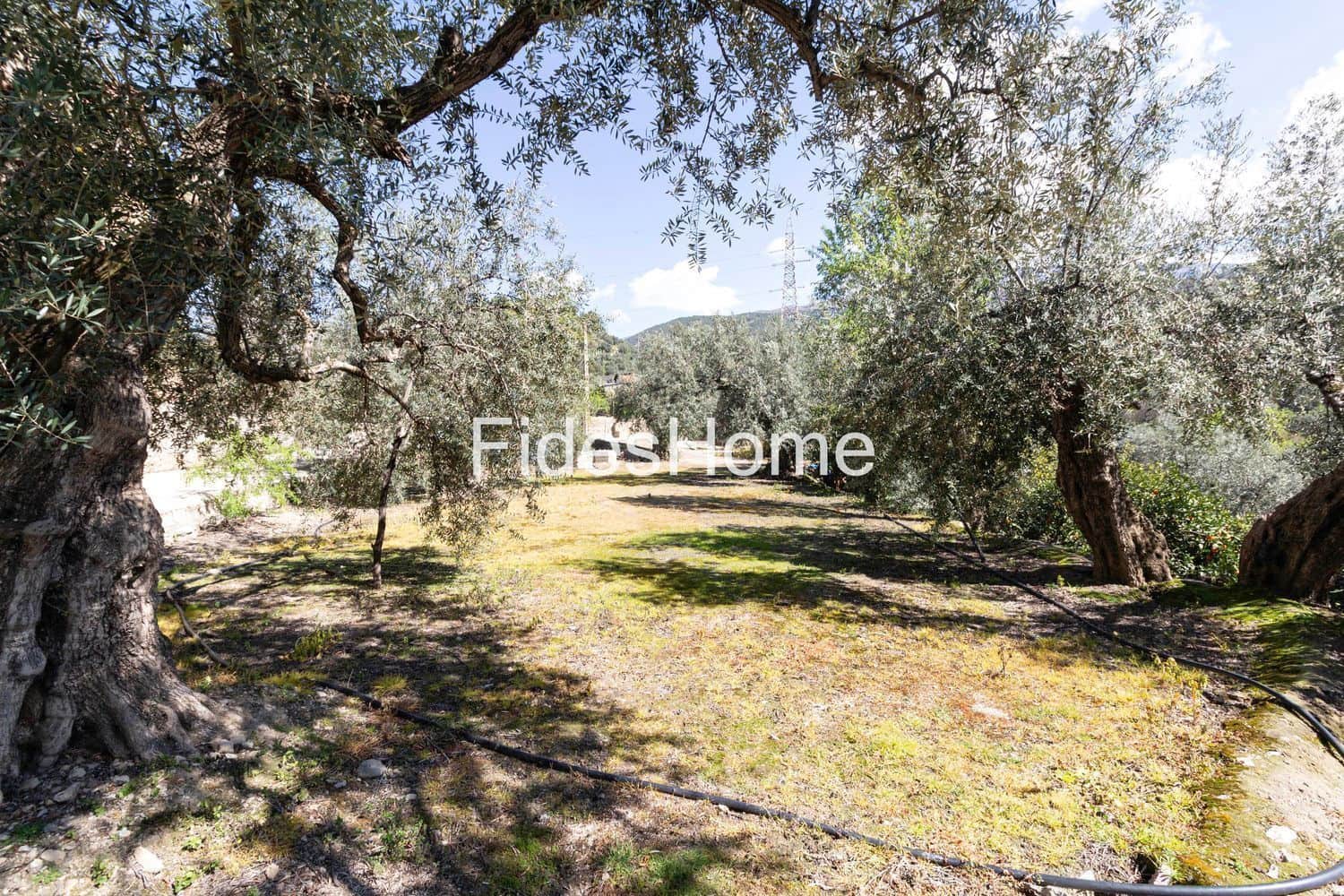 Grond te koop in Lecrin - € 18.000 (Ref: 9690026)