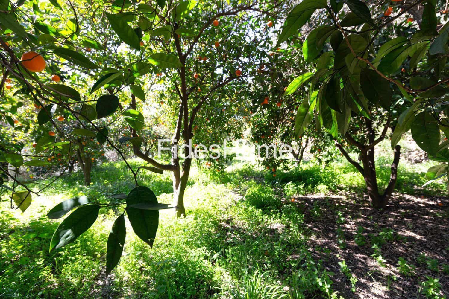Grond te koop in Lecrin - € 18.000 (Ref: 9690026)