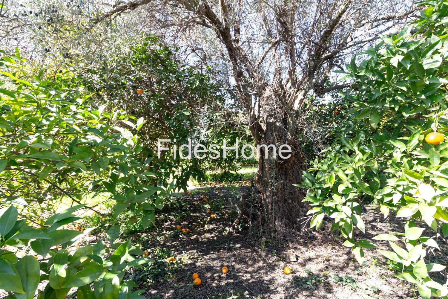 Grunde uden byggetilladelser til salg i Lecrin - € 70.000 (Ref: 9690027)