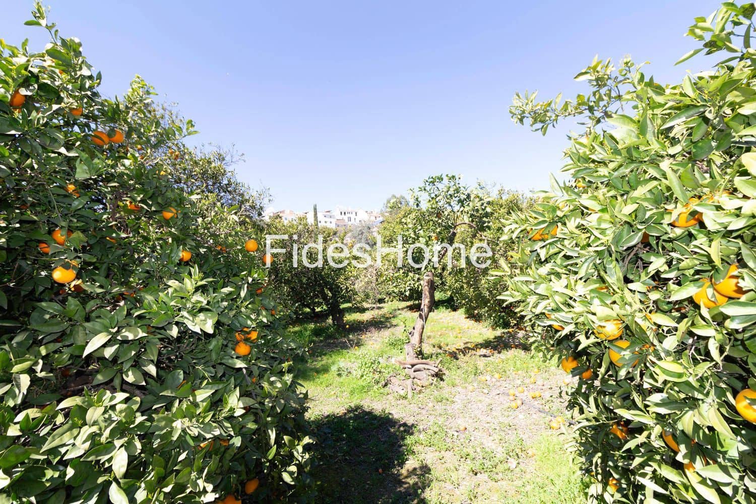 Grunde uden byggetilladelser til salg i Lecrin - € 70.000 (Ref: 9690027)