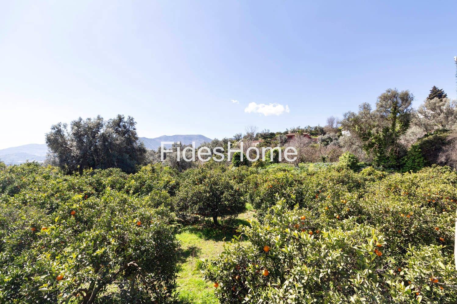 Grunde uden byggetilladelser til salg i Lecrin - € 70.000 (Ref: 9690027)