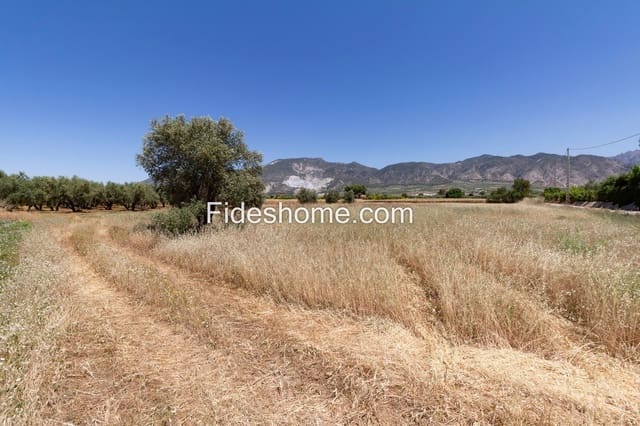 Landgrundstück zu verkaufen in Villamena - 65.000 € (Ref: 9868083)
