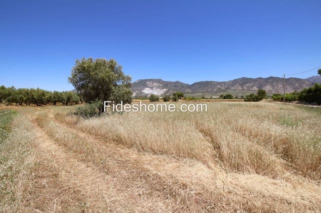 Landgrundstück zu verkaufen in Villamena - 65.000 € (Ref: 9868083)