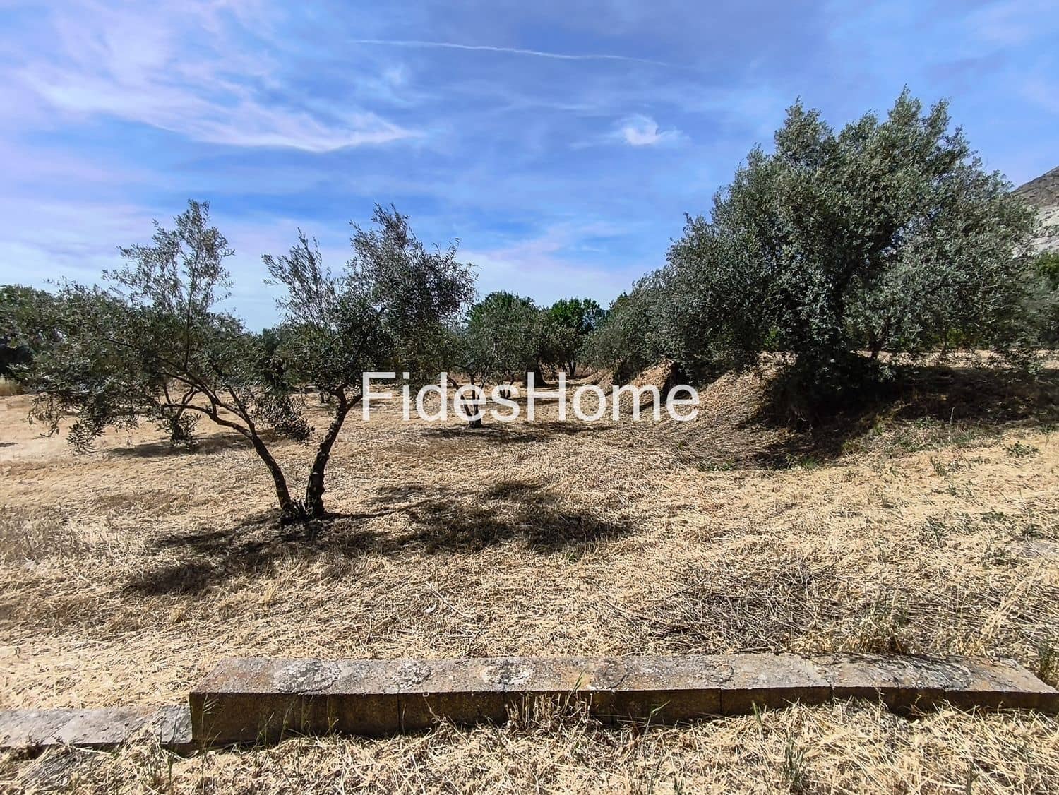 Ubebygd land til salgs i Niguelas - € 49 000 (Ref: 9880560)