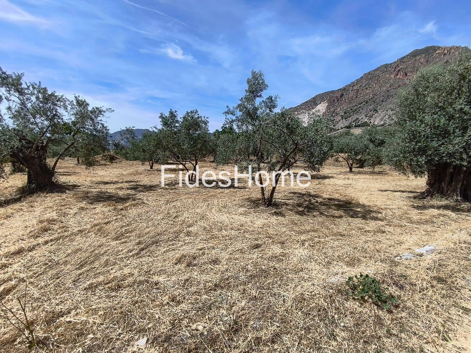 Ubebygd land til salgs i Niguelas - € 49 000 (Ref: 9880560)