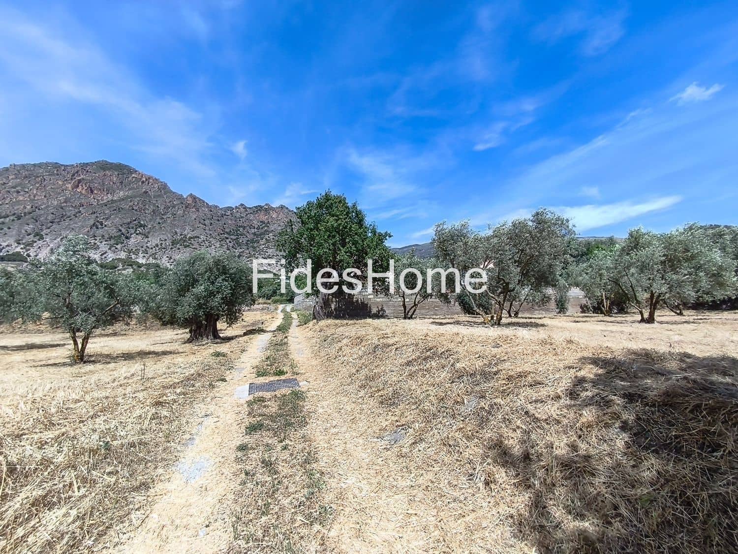 Undeveloped Land for sale in Niguelas - € 49,000 (Ref: 9880560)
