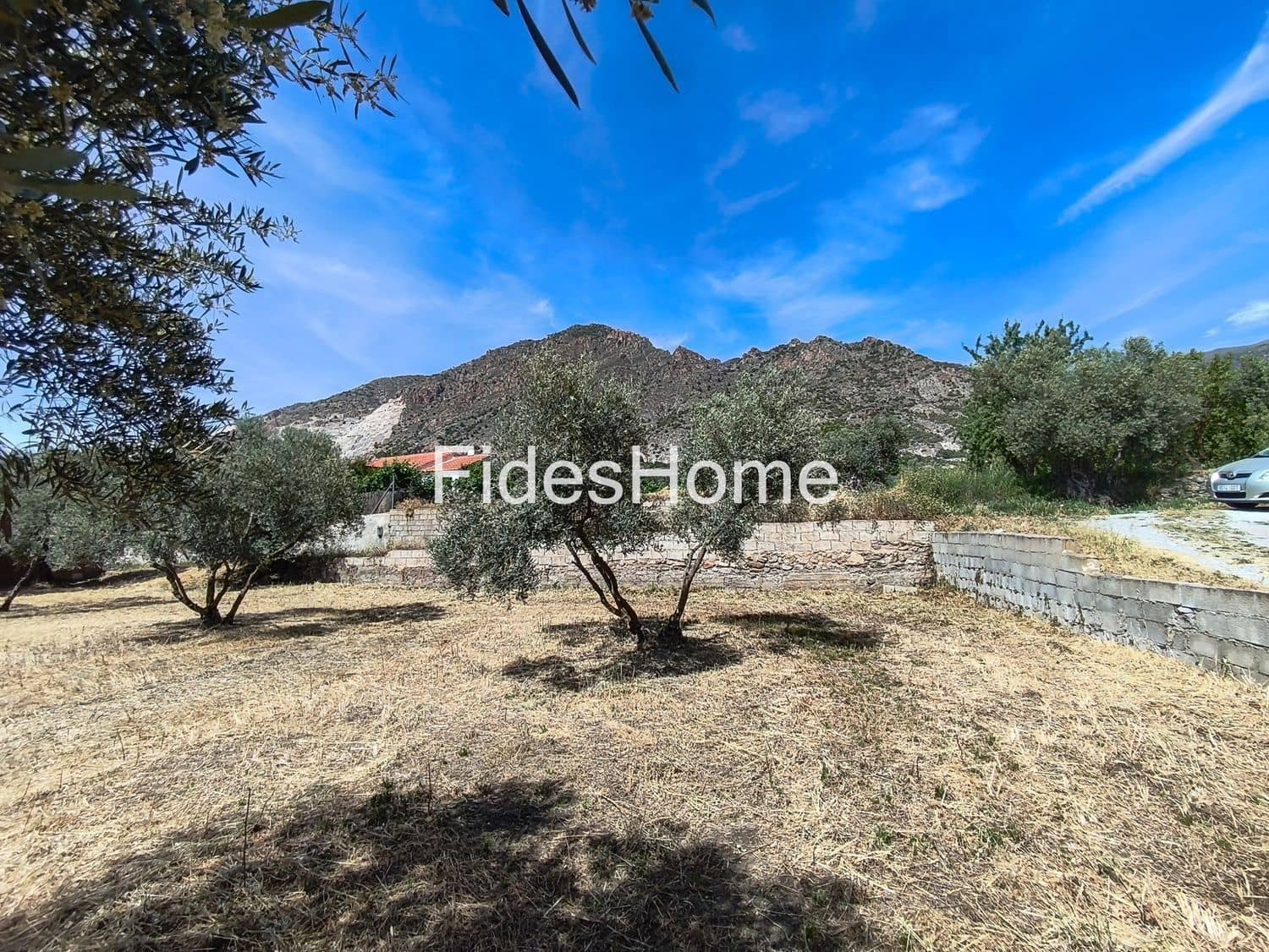 Undeveloped Land for sale in Niguelas - € 49,000 (Ref: 9880560)