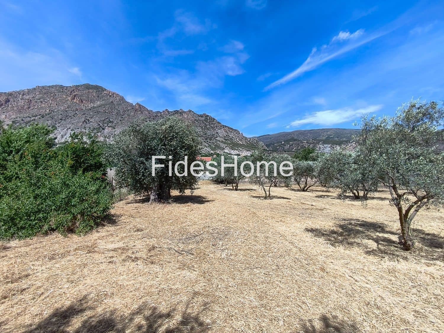Undeveloped Land for sale in Niguelas - € 49,000 (Ref: 9880560)