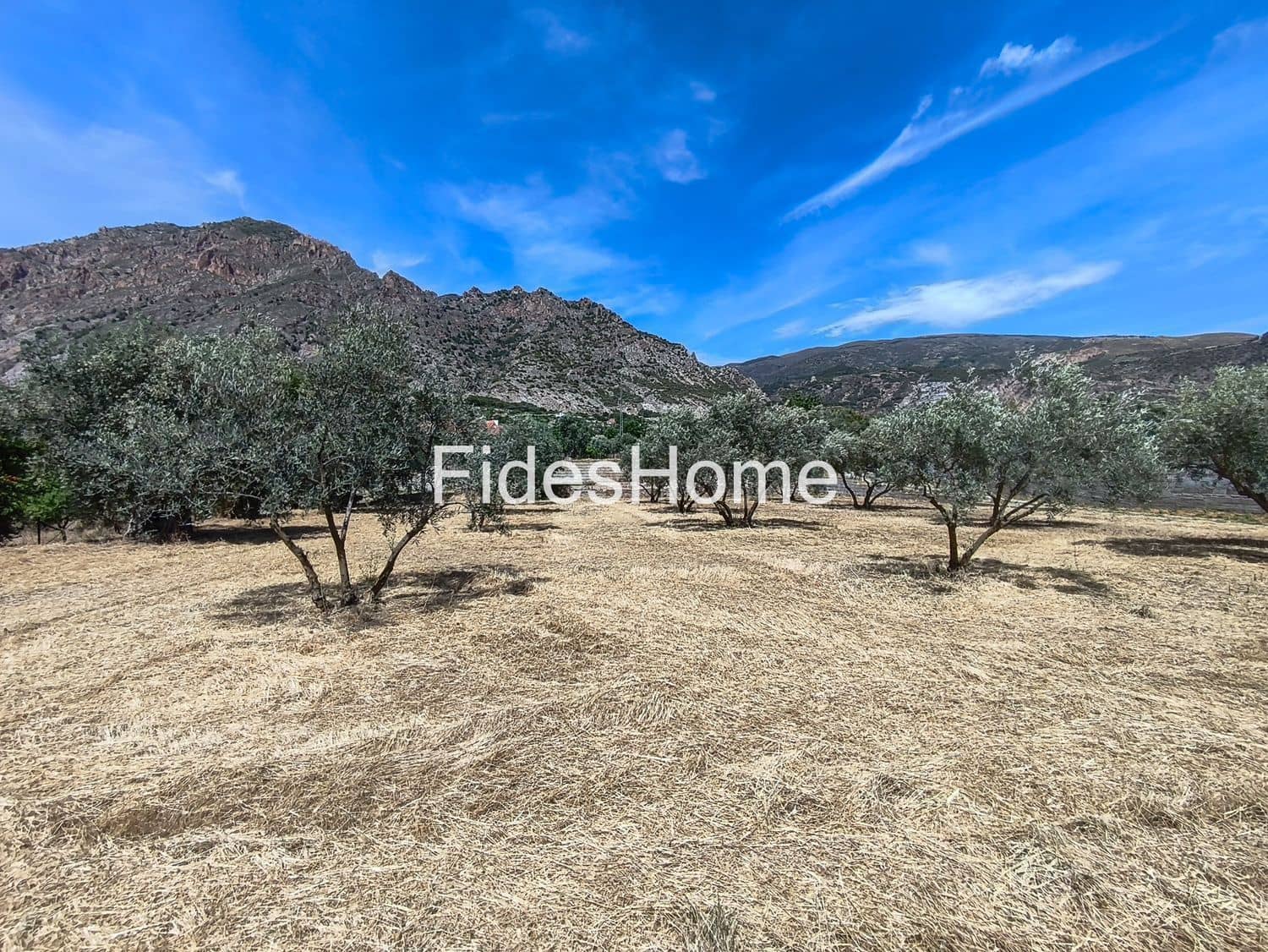 Undeveloped Land for sale in Niguelas - € 49,000 (Ref: 9880560)