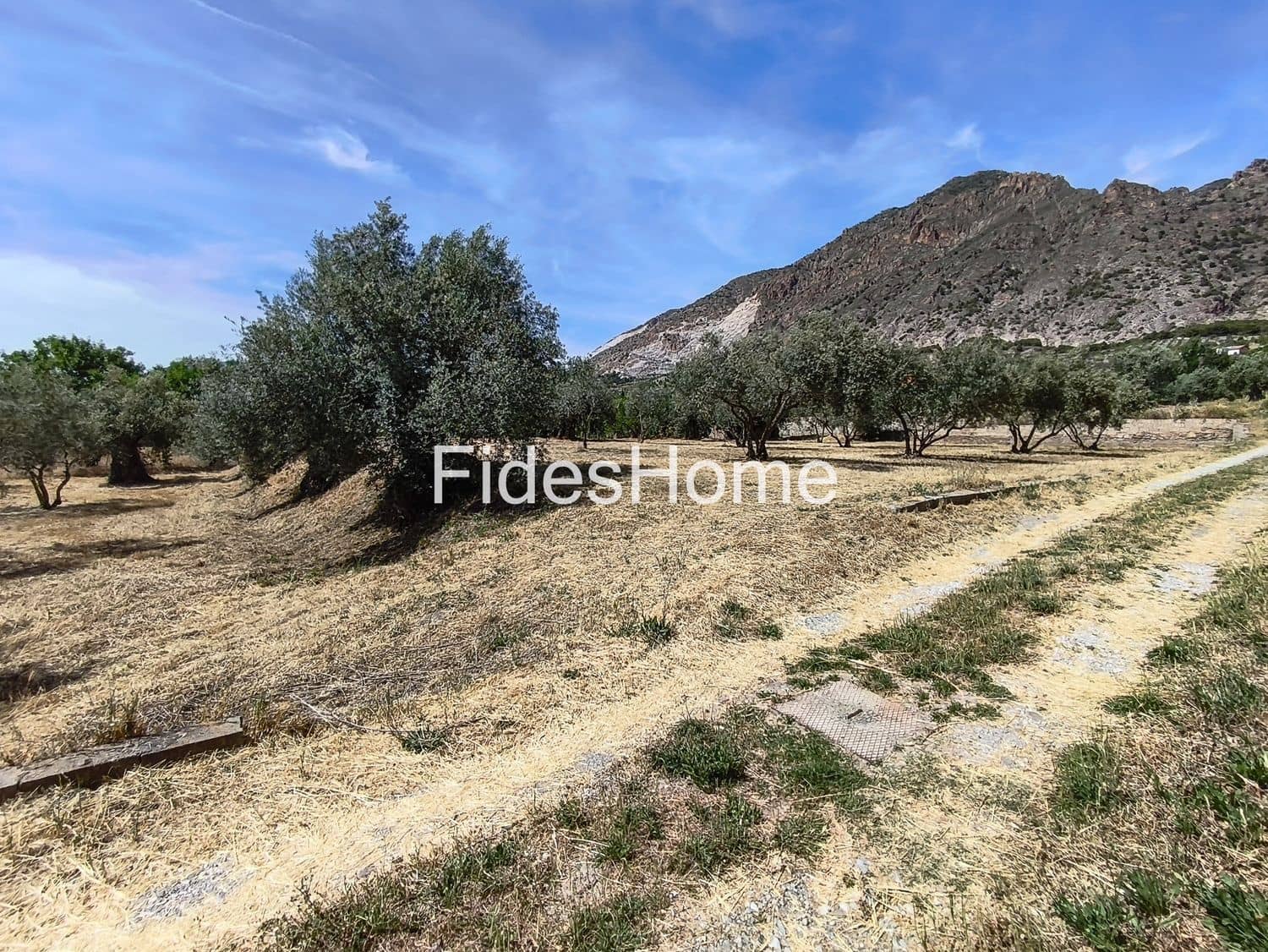Undeveloped Land for sale in Niguelas - € 49,000 (Ref: 9880560)