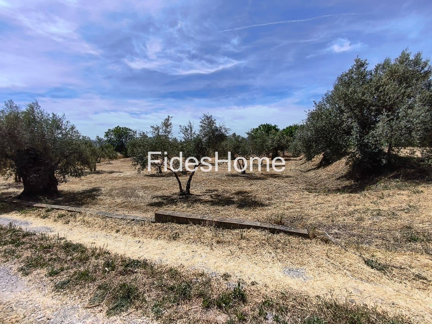 Undeveloped Land for sale in Niguelas - € 49,000 (Ref: 9880560)