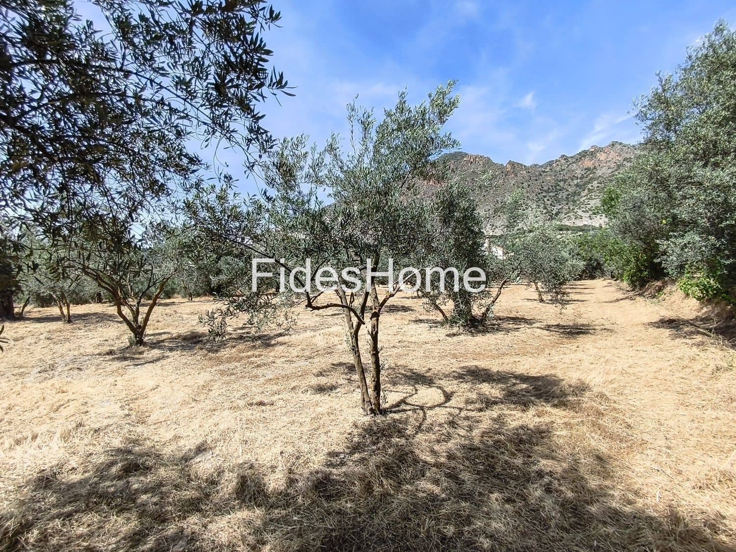 Undeveloped Land for sale in Niguelas - € 49,000 (Ref: 9880560)