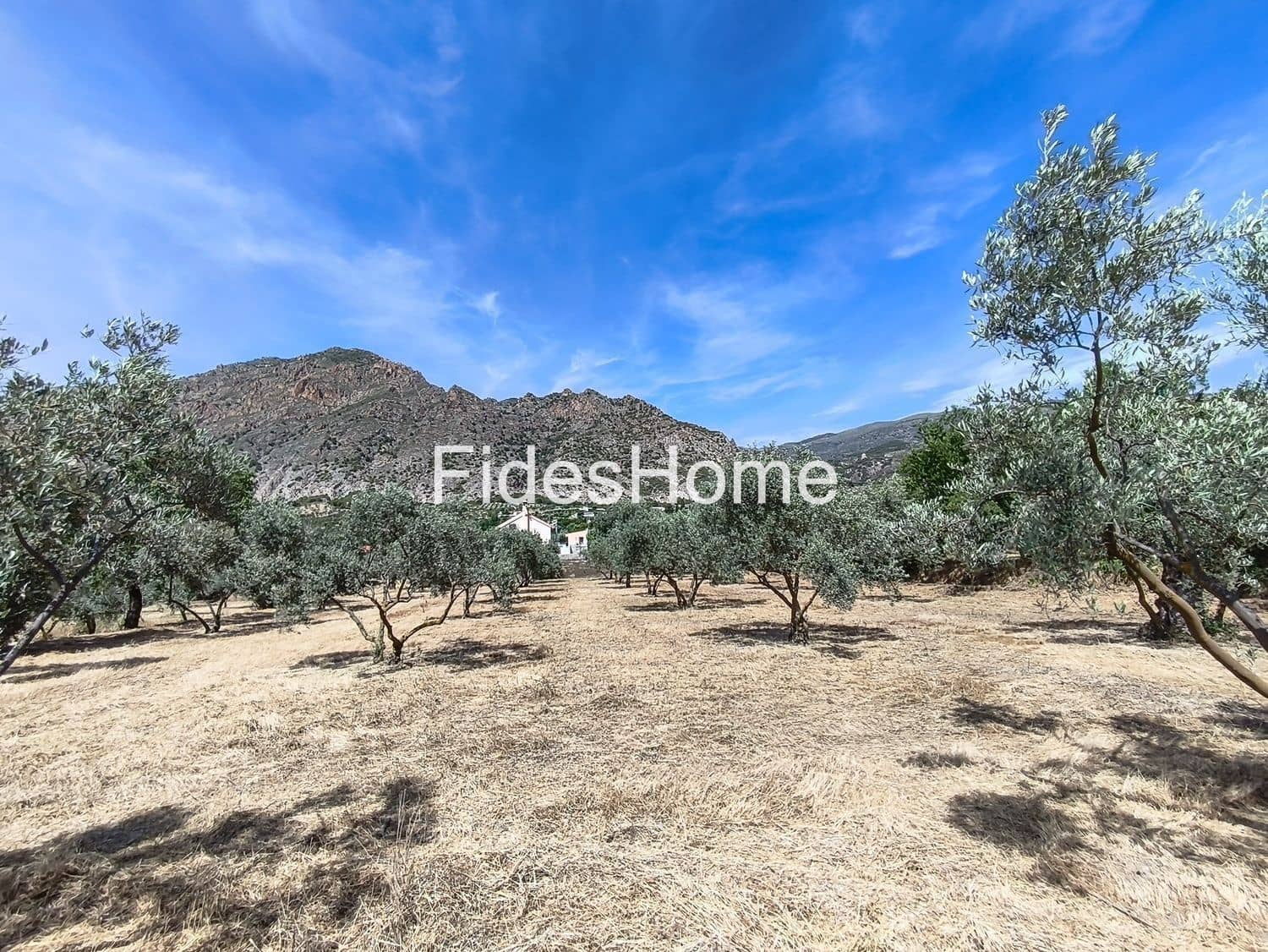 Undeveloped Land for sale in Niguelas - € 49,000 (Ref: 9880560)