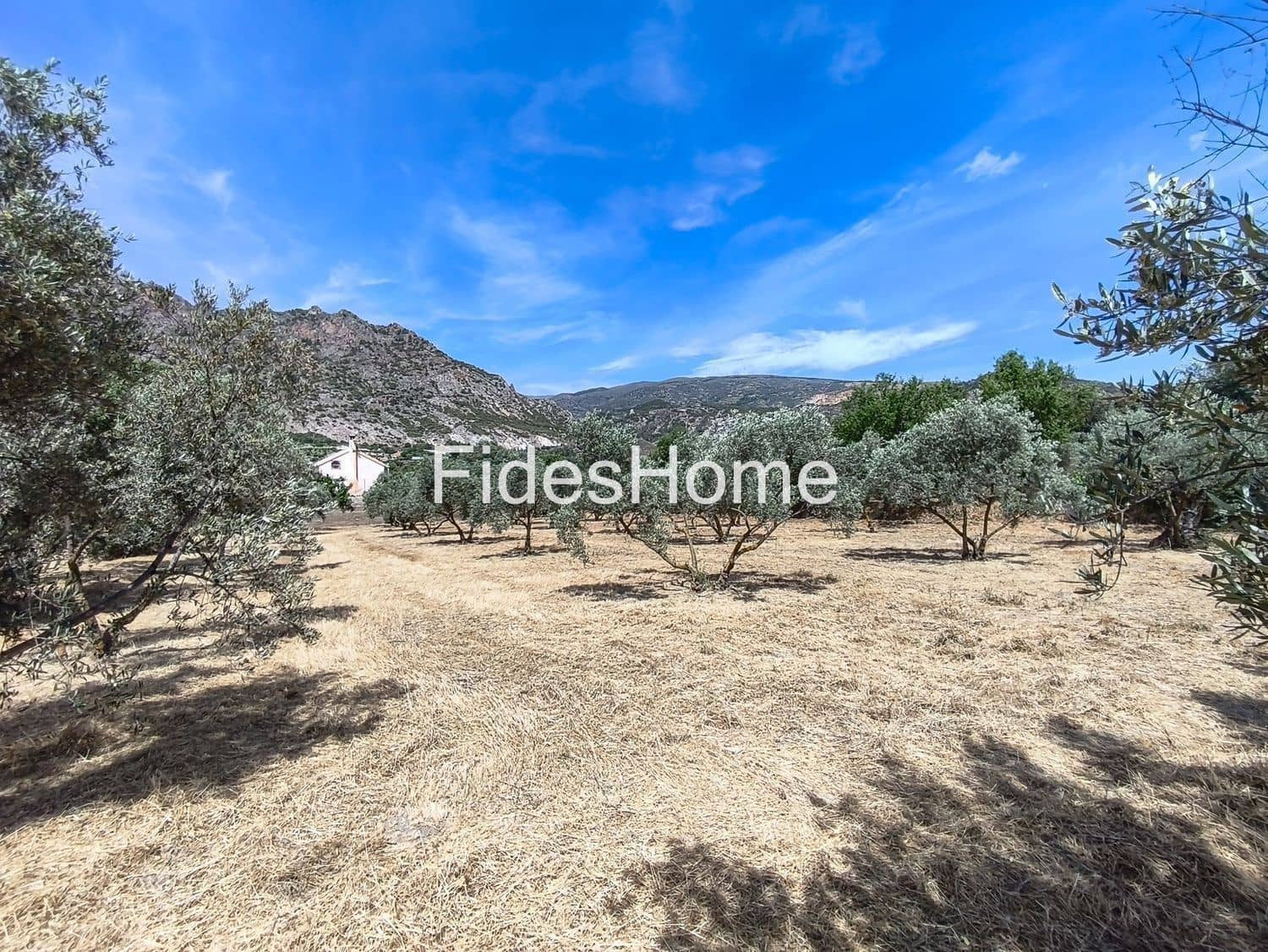 Undeveloped Land for sale in Niguelas - € 49,000 (Ref: 9880560)