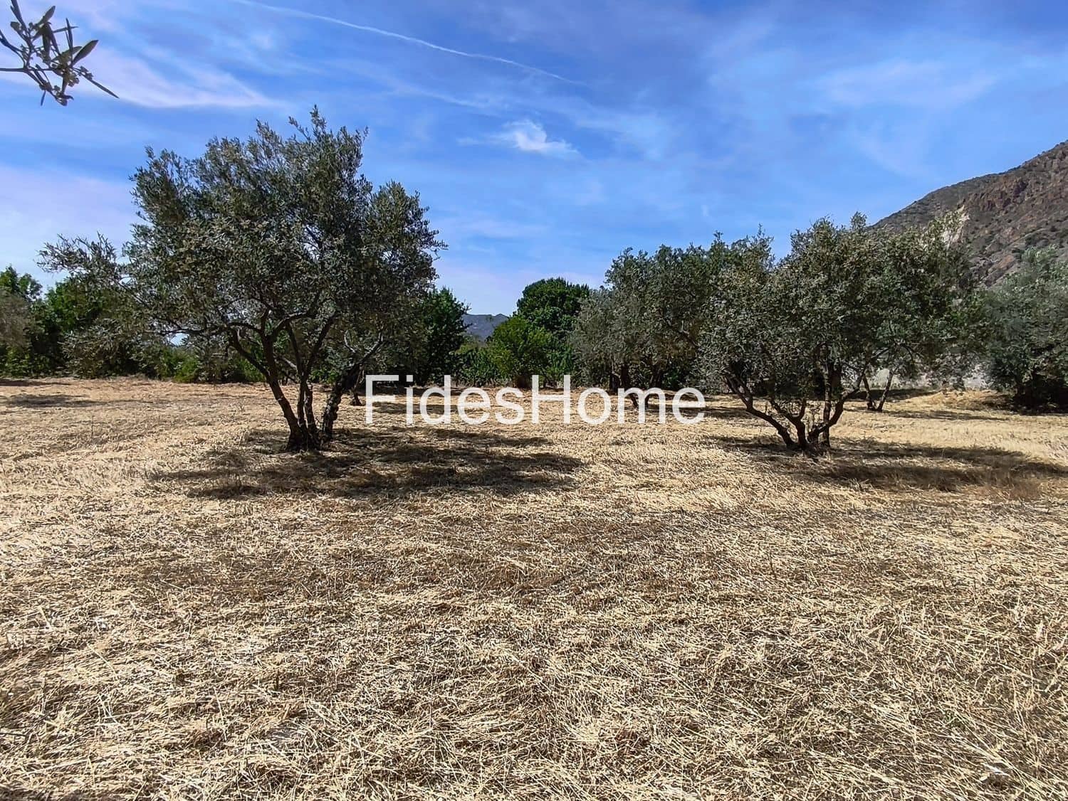 Undeveloped Land for sale in Niguelas - € 49,000 (Ref: 9880560)
