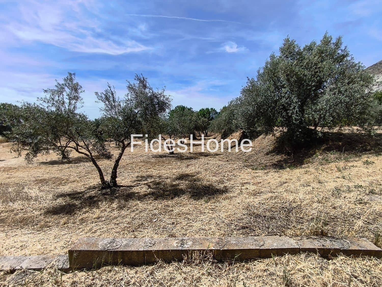 Undeveloped Land for sale in Niguelas - € 49,000 (Ref: 9880560)