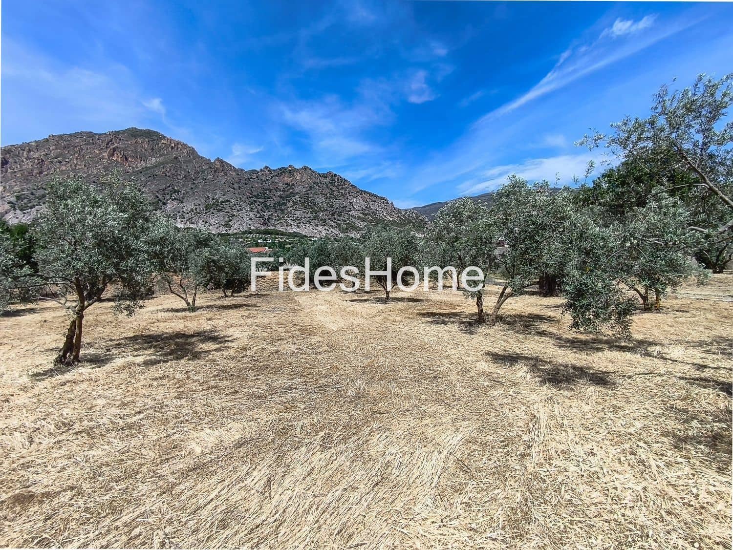 Undeveloped Land for sale in Niguelas - € 49,000 (Ref: 9880560)