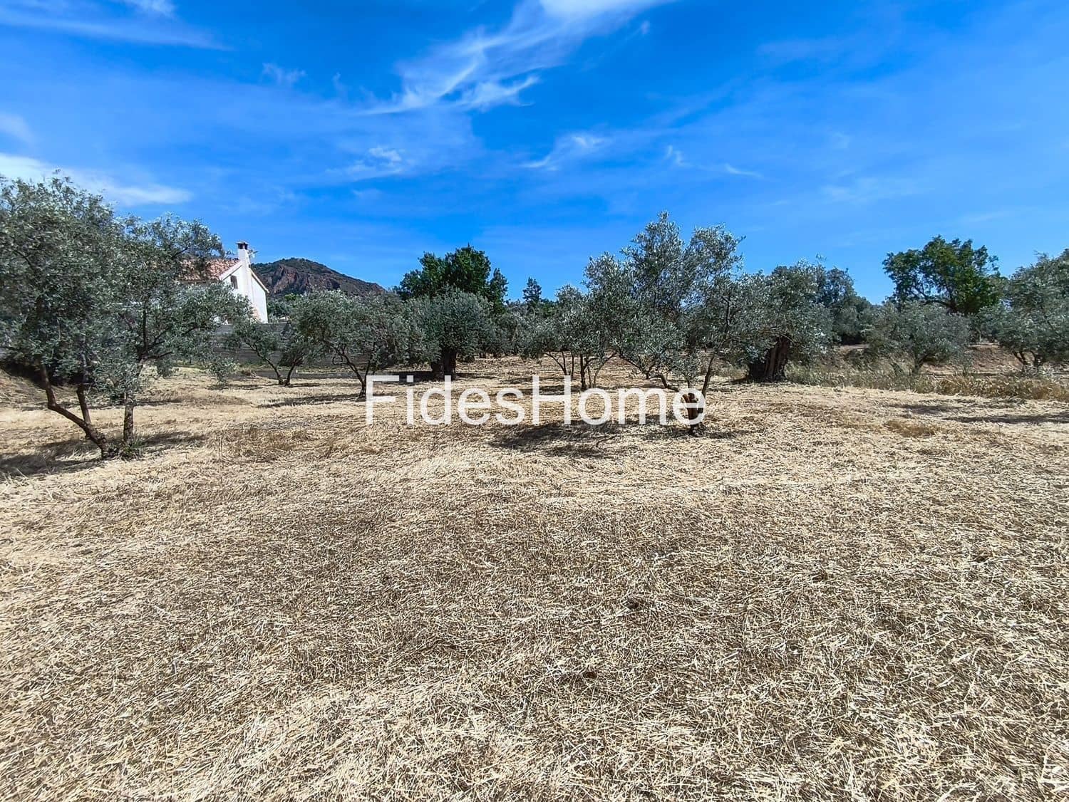 Undeveloped Land for sale in Niguelas - € 49,000 (Ref: 9880560)