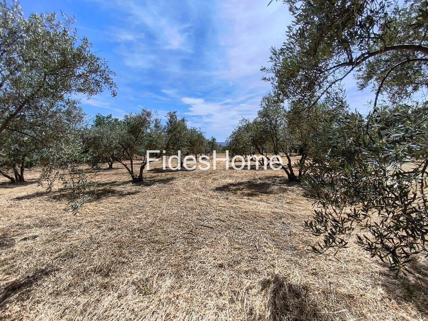 Undeveloped Land for sale in Niguelas - € 49,000 (Ref: 9880560)