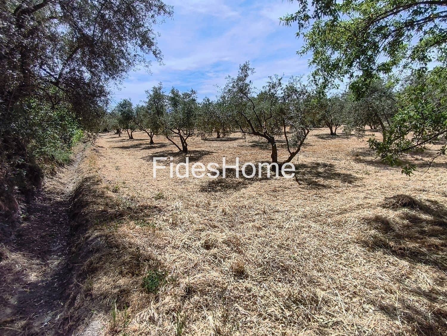 Undeveloped Land for sale in Niguelas - € 49,000 (Ref: 9880560)
