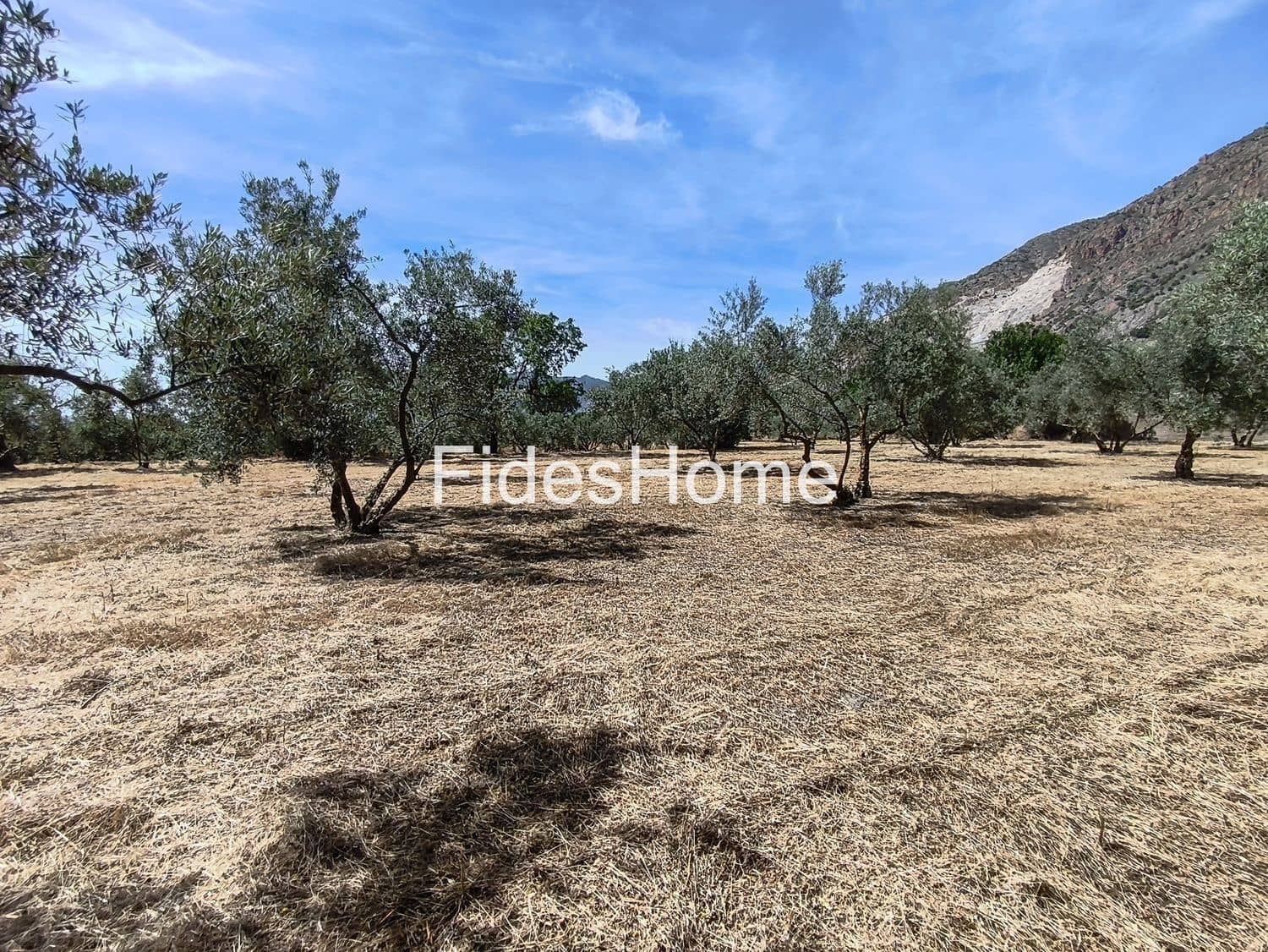 Undeveloped Land for sale in Niguelas - € 49,000 (Ref: 9880560)