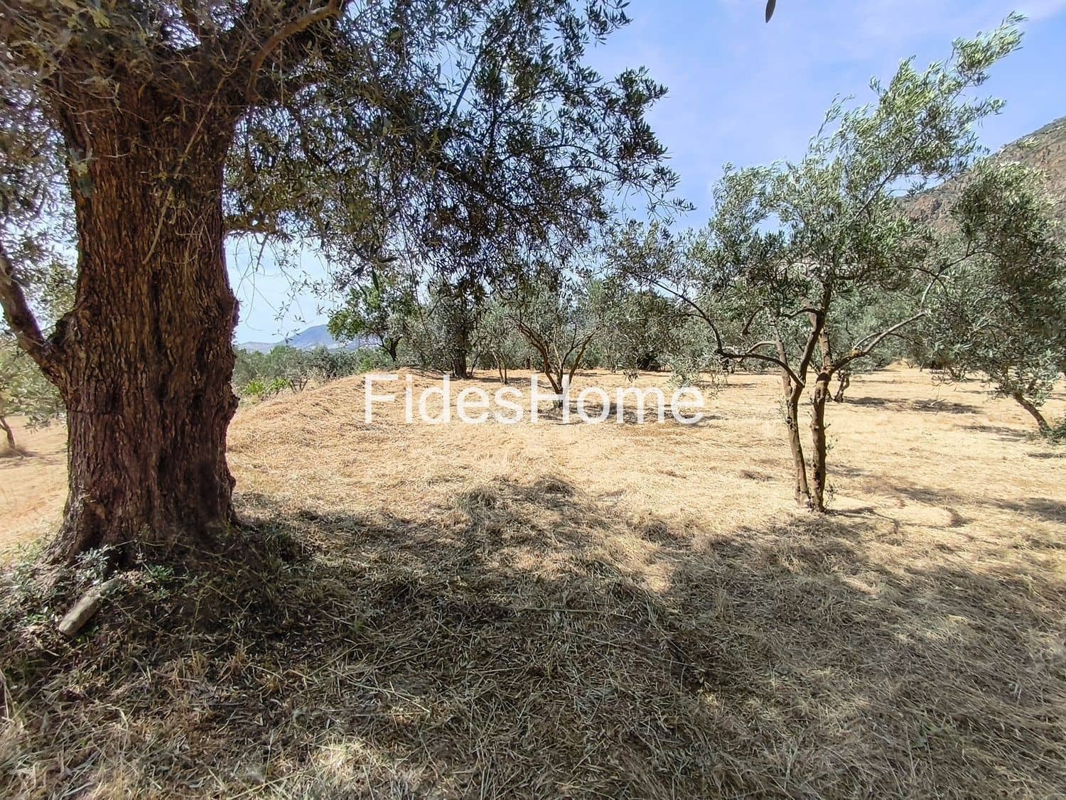 Undeveloped Land for sale in Niguelas - € 49,000 (Ref: 9880560)