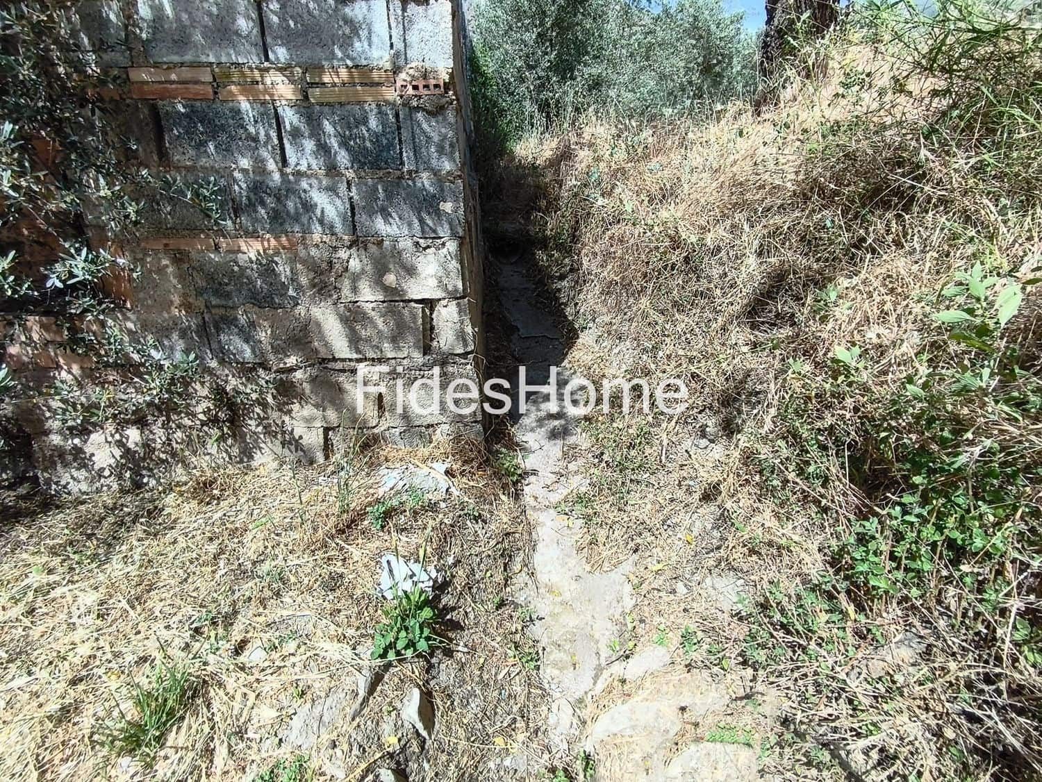 Undeveloped Land for sale in Niguelas - € 49,000 (Ref: 9880560)