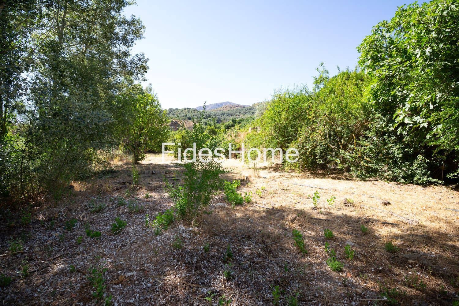 Finca/Casa Rural de 1 habitación en El Valle en venta con garaje - 159.000 € (Ref: 9956671)