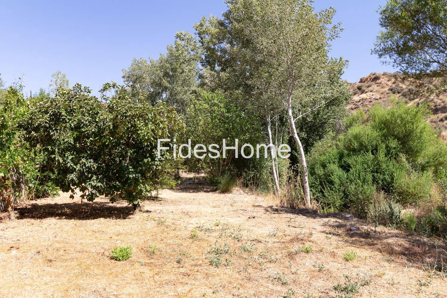 Finca/Casa Rural de 1 habitación en El Valle en venta con garaje - 159.000 € (Ref: 9956671)