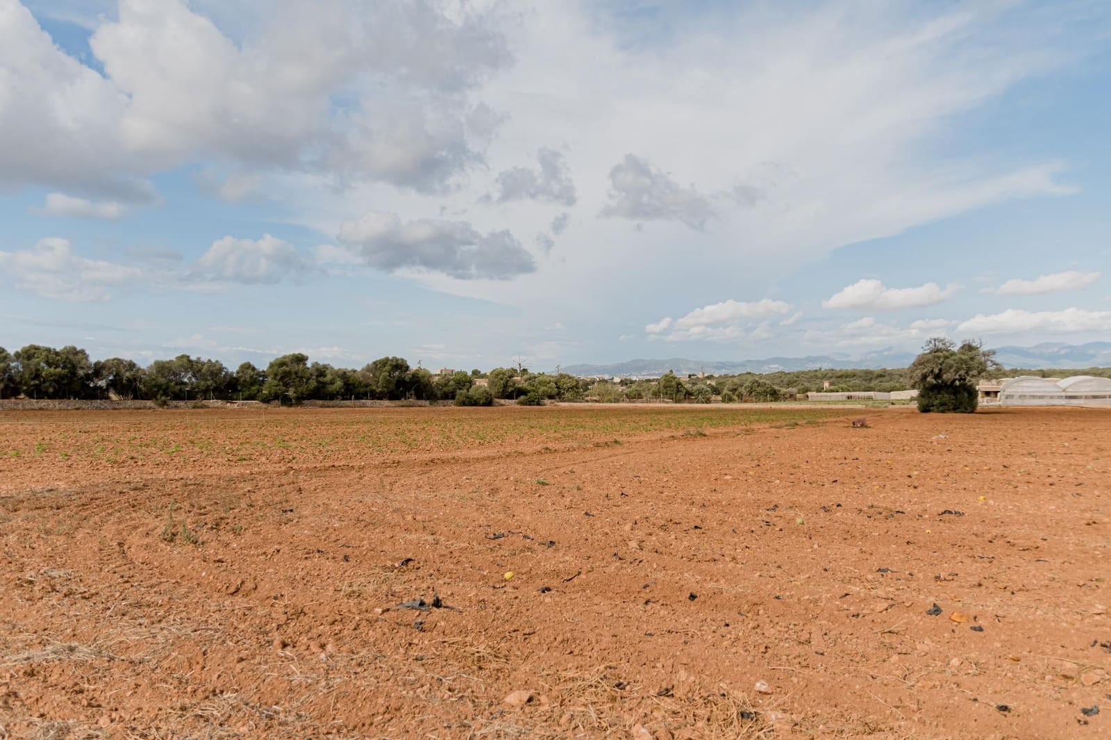 5 sypialnia Willa na sprzedaż w Sant Jordi z basenem - 1 290 000 € (Ref: 8572369)