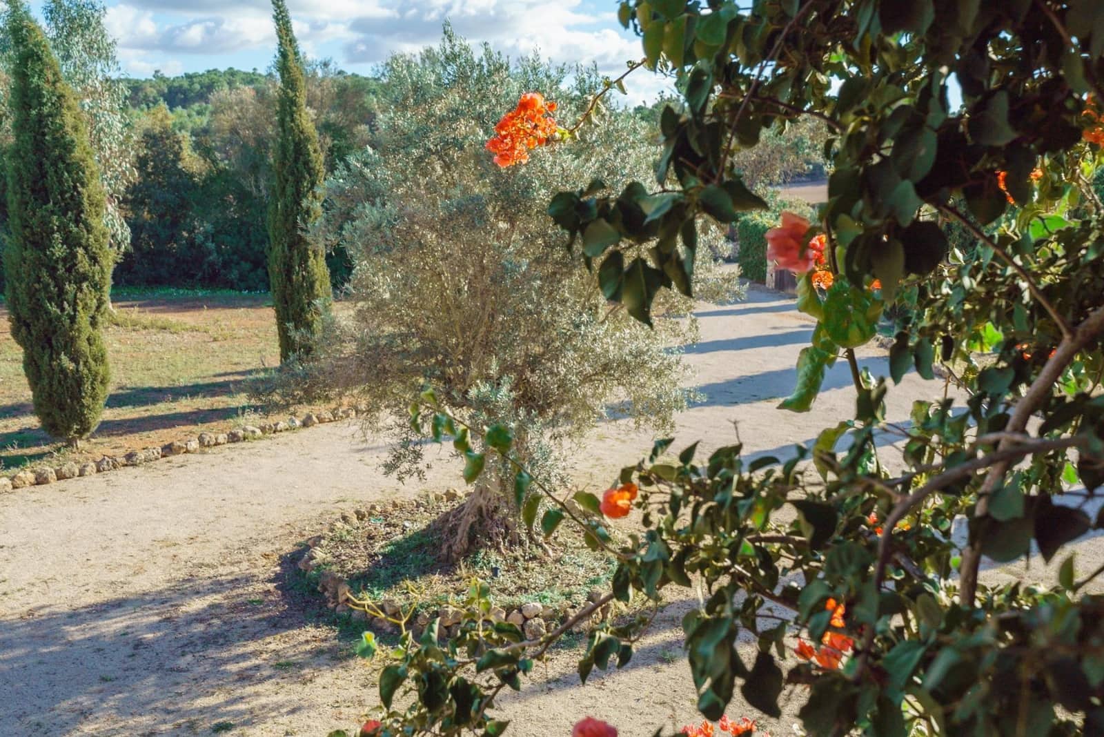 4 bedroom Finca/Country House for sale in Algaida with pool - € 1,875,000 (Ref: 8580186)