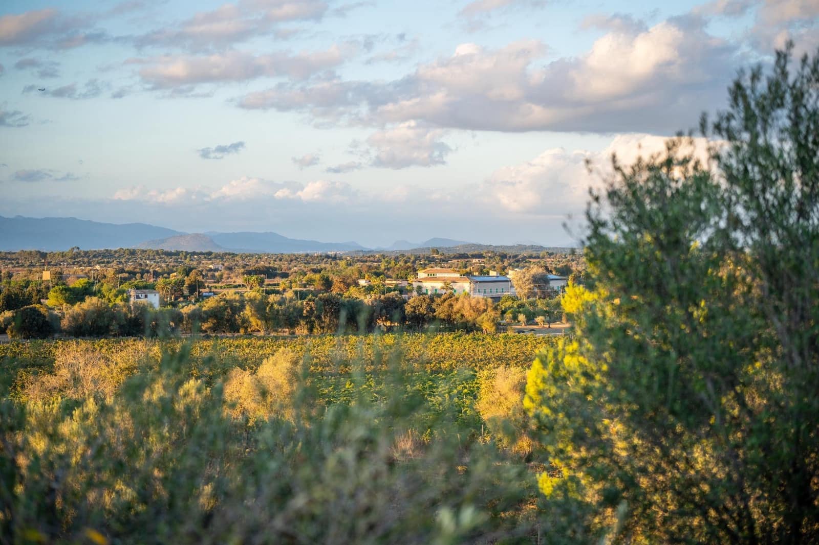 4 slaapkamer Finca/Landhuis te koop in Algaida met zwembad - € 1.875.000 (Ref: 8580186)