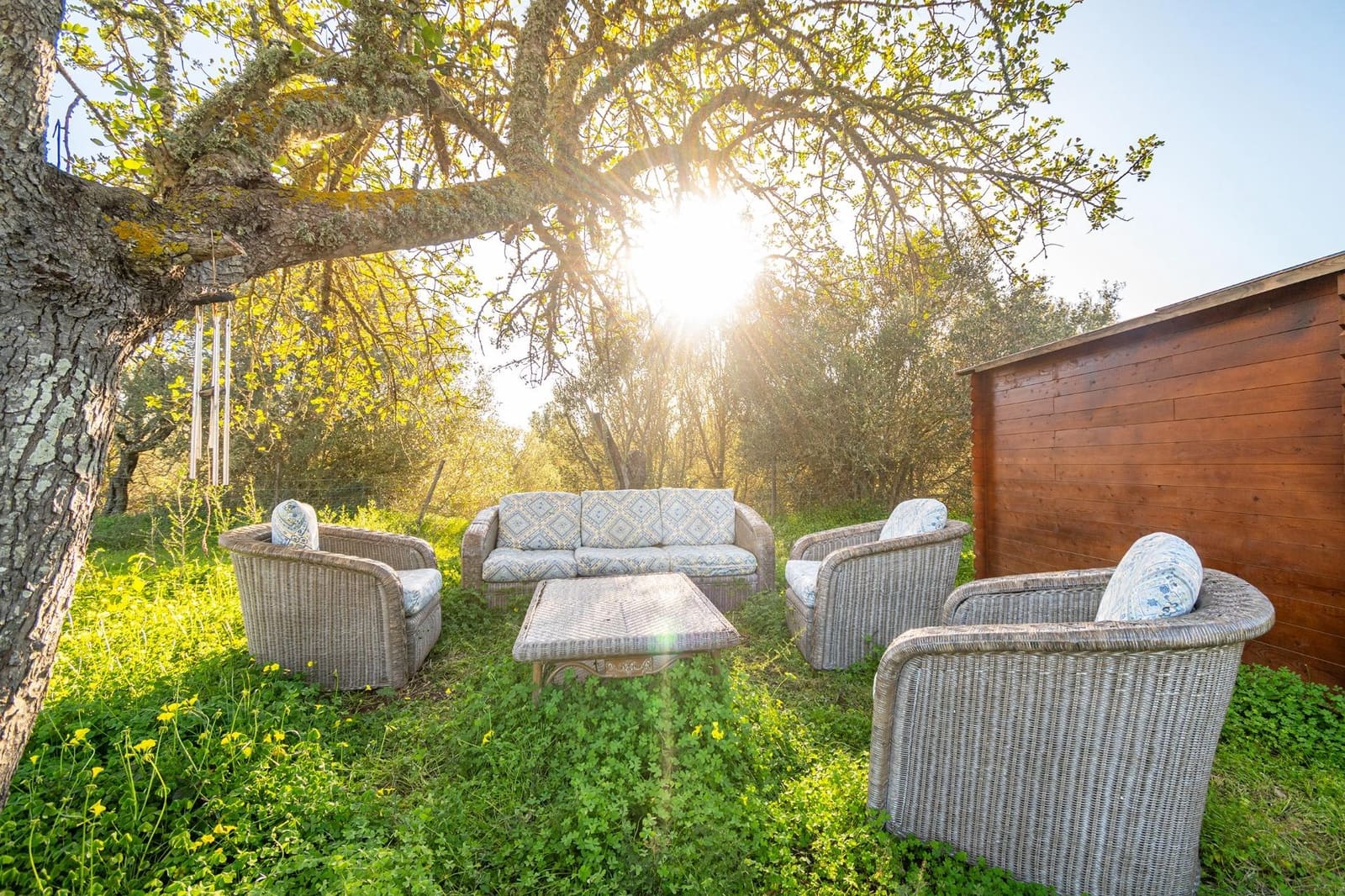 7 sypialnia Finka/Dom wiejski na sprzedaż w Llucmajor z basenem - 1 095 000 € (Ref: 8776446)