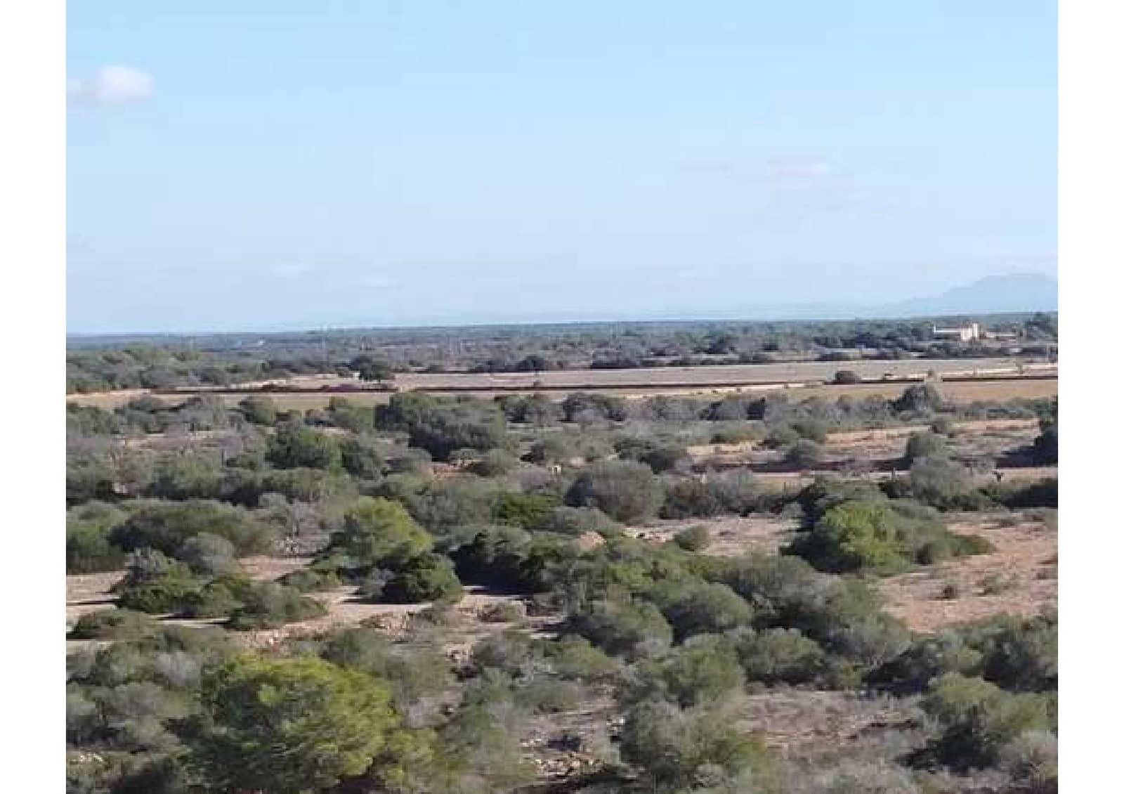 4 sypialnia Finka/Dom wiejski na sprzedaż w Llucmajor - 950 000 € (Ref: 8905370)