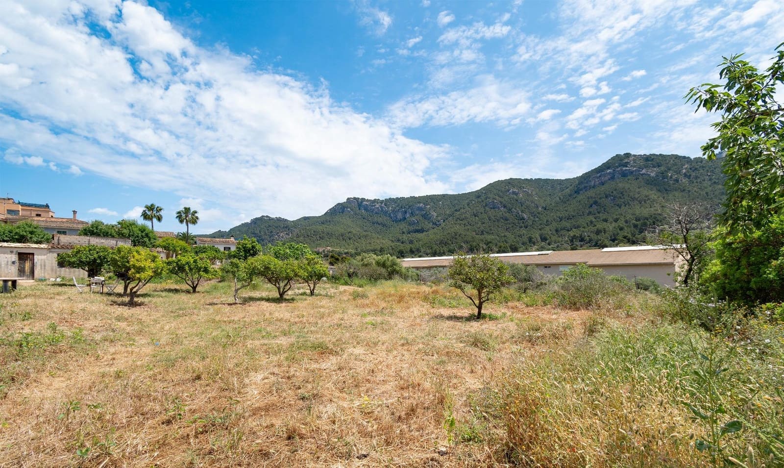 5 soveværelse Finca/Landehus til salg i Andratx - € 750.000 (Ref: 9095379)