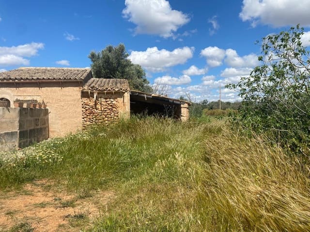Ubebygd land til salgs i Campos - € 63 900 (Ref: 9114276)
