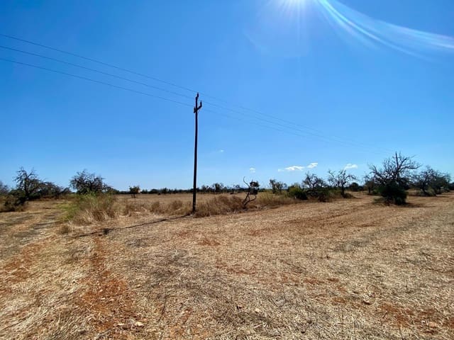 Mark till salu i Campos - 63 900 € (Ref: 9114276)