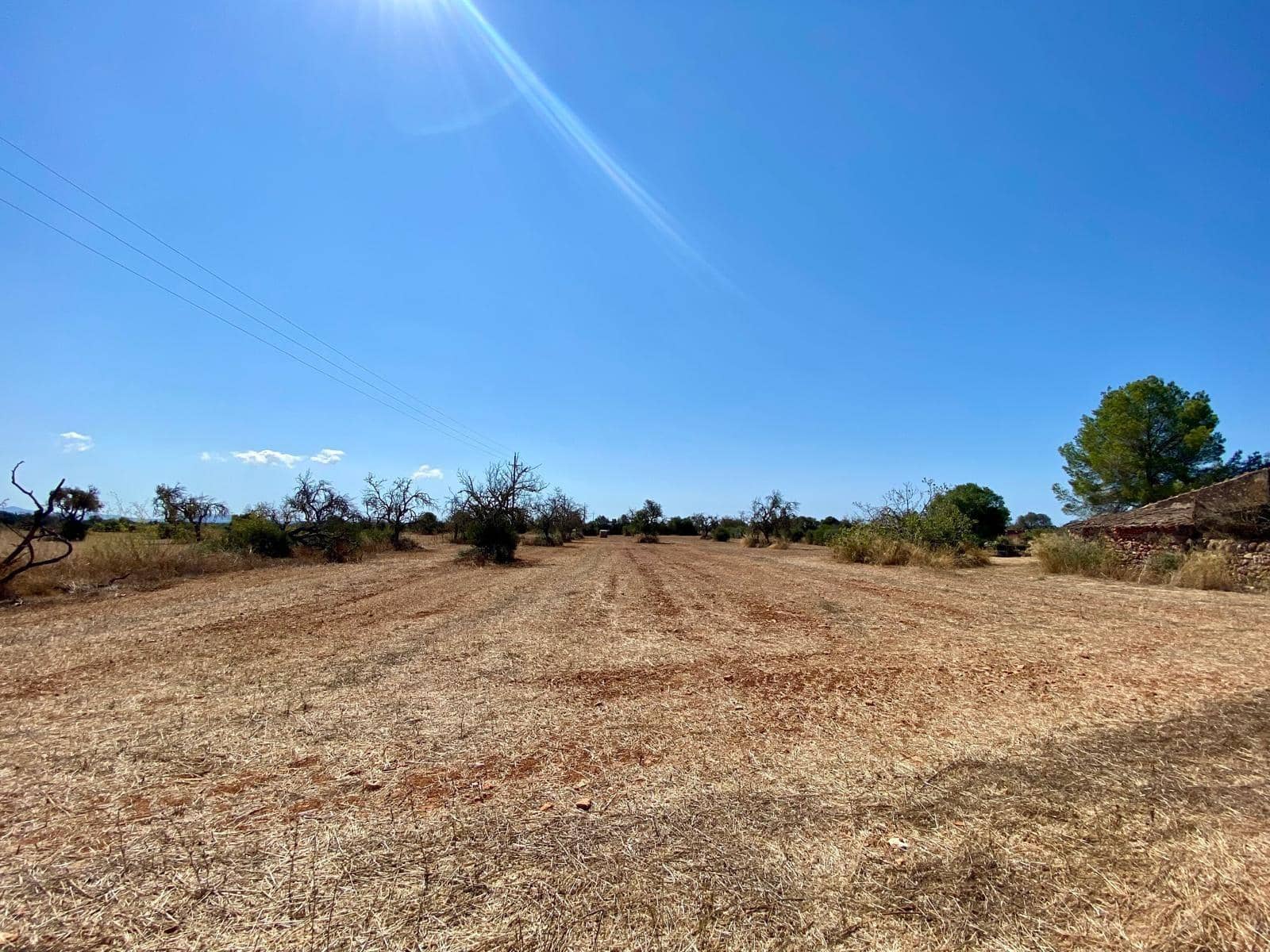 Grunde uden byggetilladelser til salg i Campos - € 63.900 (Ref: 9114276)