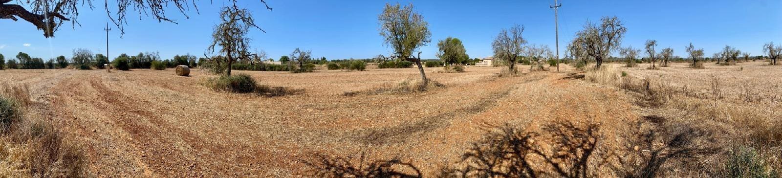 Grunde uden byggetilladelser til salg i Campos - € 63.900 (Ref: 9114276)