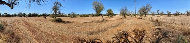 Mark till salu i Campos - 63 900 € (Ref: 9114276)