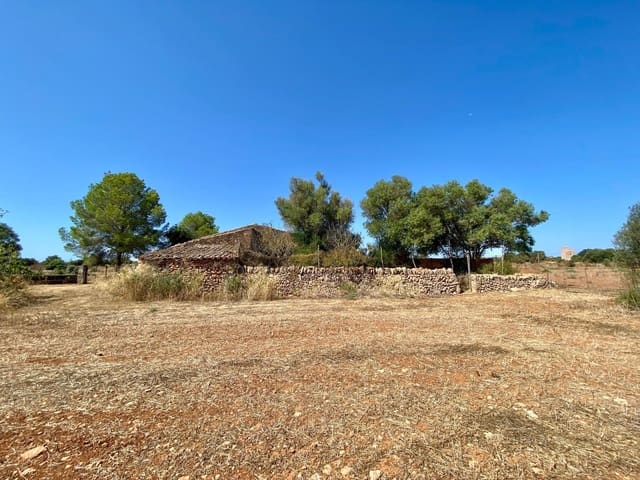 Ubebygd land til salgs i Campos - € 63 900 (Ref: 9114276)