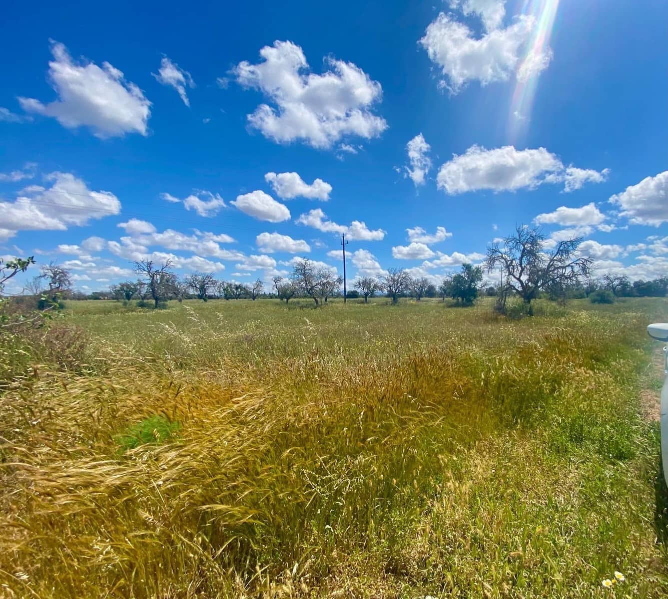 Grunde uden byggetilladelser til salg i Campos - € 63.900 (Ref: 9114276)