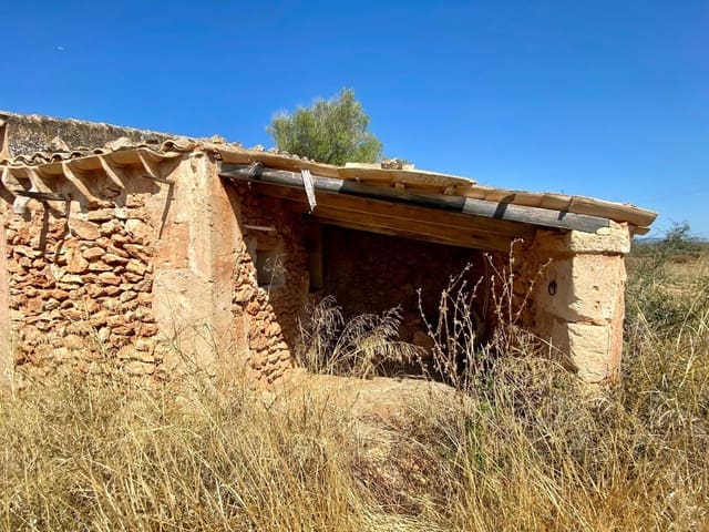 Ubebygd land til salgs i Campos - € 63 900 (Ref: 9114276)