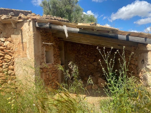 Mark till salu i Campos - 63 900 € (Ref: 9114276)