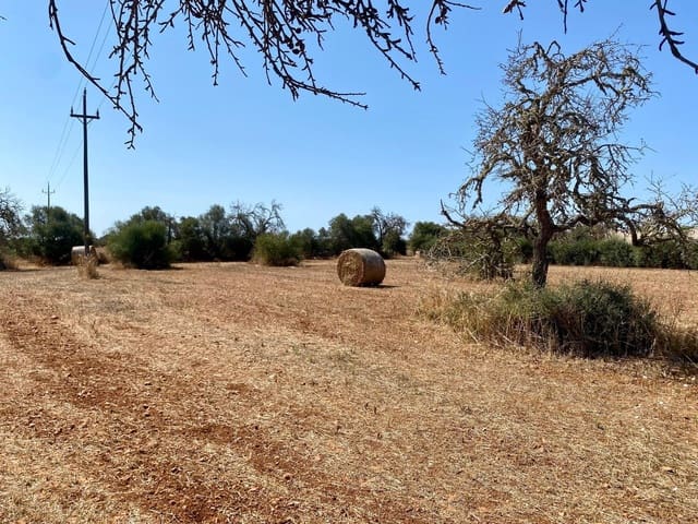 Mark till salu i Campos - 63 900 € (Ref: 9114276)