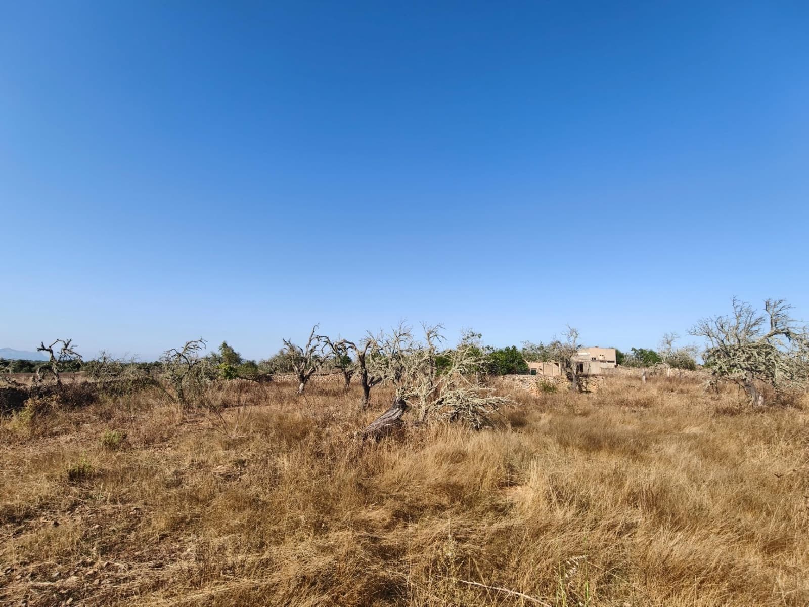 Byggegrund til salg i Santa Margalida - € 298.000 (Ref: 9128477)