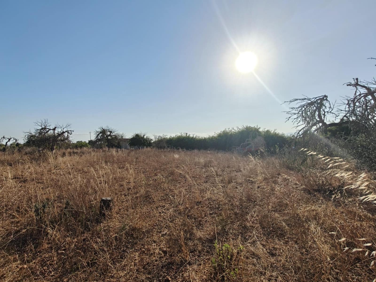 Byggegrund til salg i Santa Margalida - € 298.000 (Ref: 9128477)