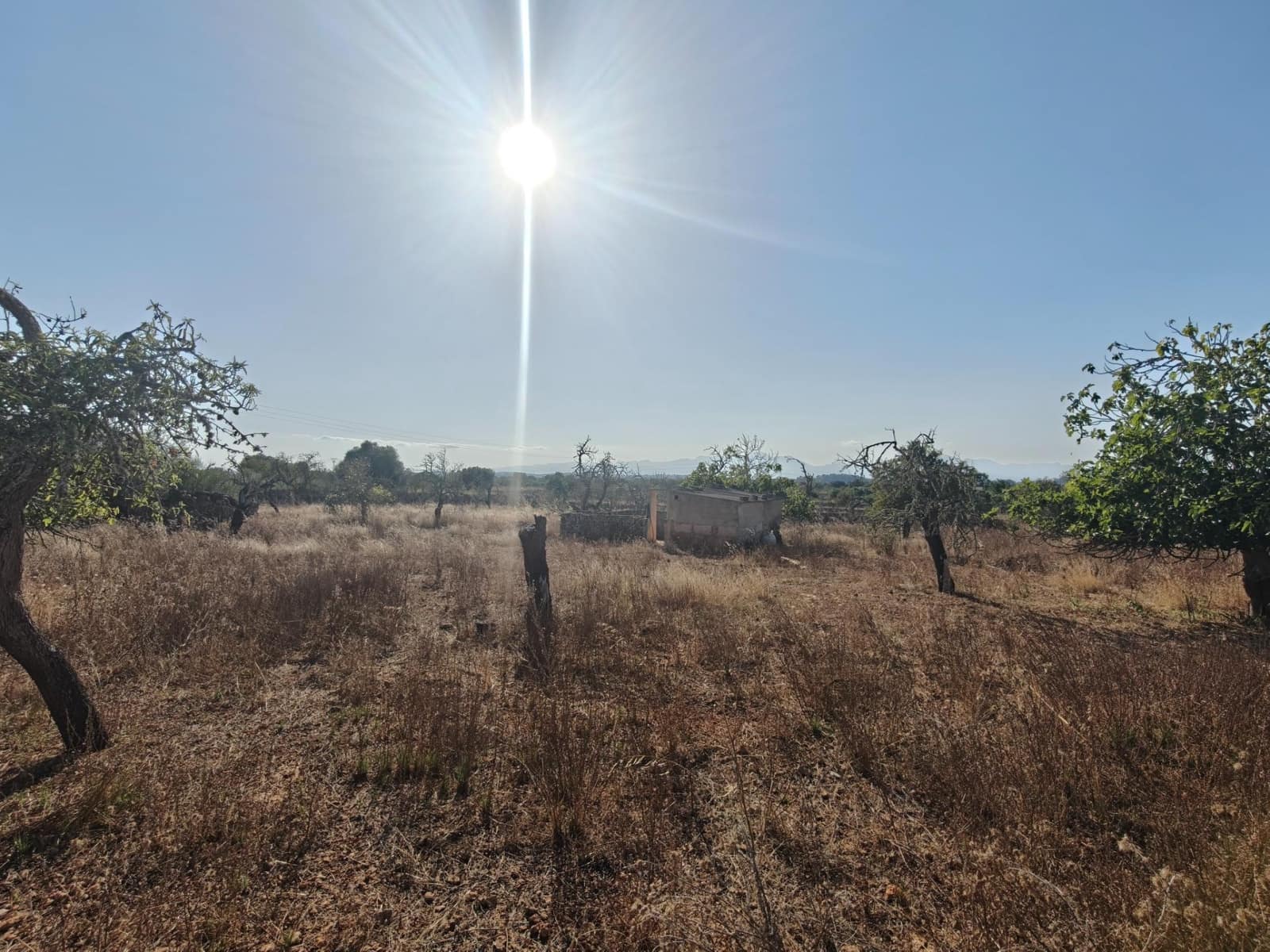 Byggegrund til salg i Santa Margalida - € 298.000 (Ref: 9128477)